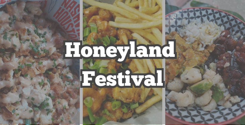 honeyland festival location sugar land