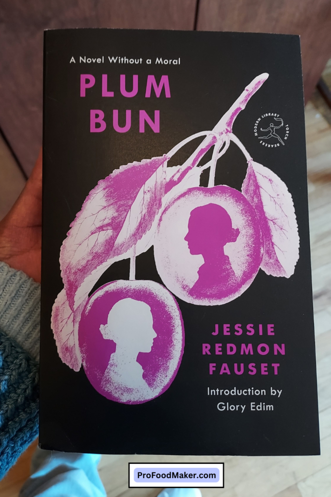 Jessie Redmon Fauset's book titled Plum Bun