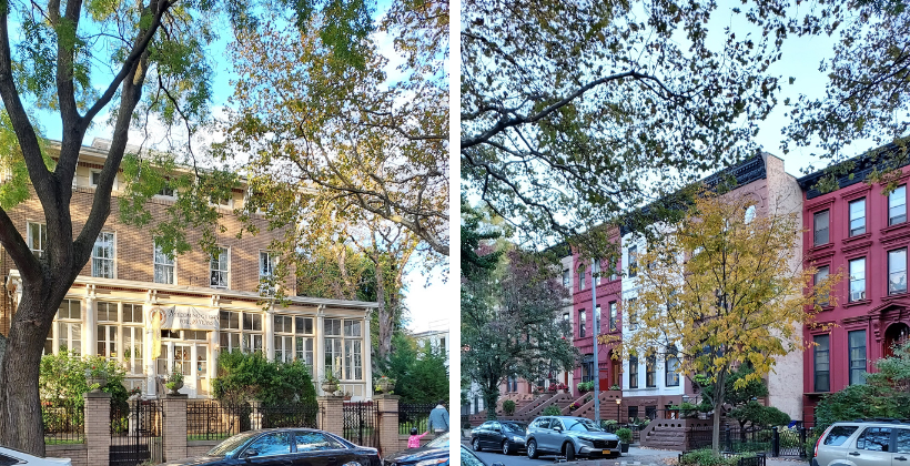Akwaaba Mansion location: photo on the left is the front of the inn and the image on the right is of the multicolor brownstones.