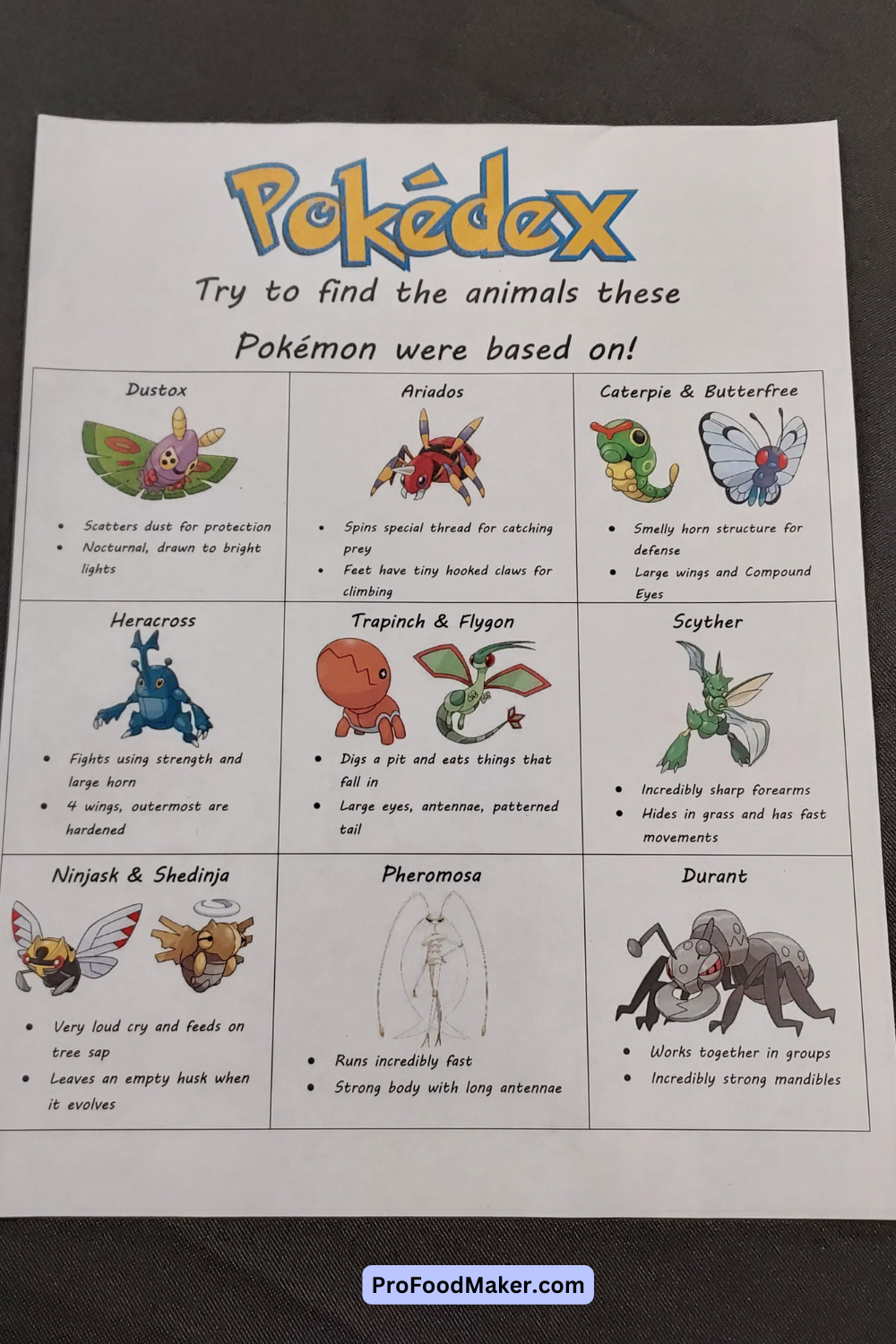 pokemon activity