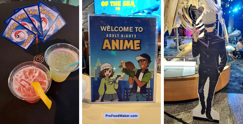 raleigh anime at ncmns