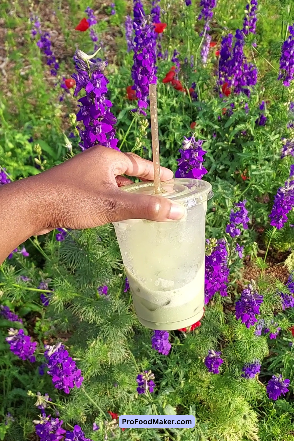 best matcha in raleigh in front of purple flowers