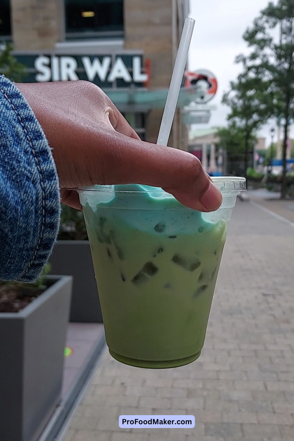 sir walter coffee and kitchen peppermint matcha